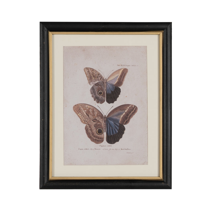 CUADRO IMPRESIÓN MARIPOSAS 4/M 31 X 1,80 X 39 CM