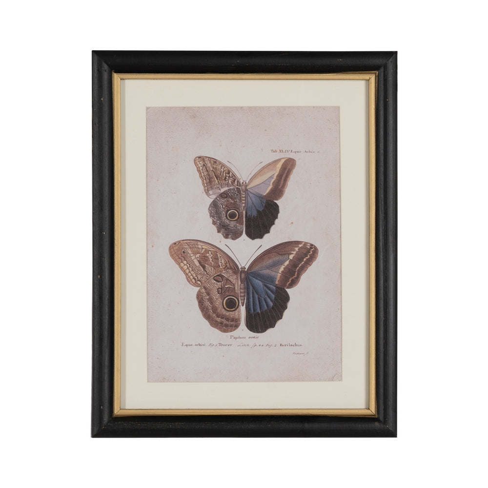 BUTTERFLY PRINT PICTURE 4/M 31 X 1.80 X 39 CM