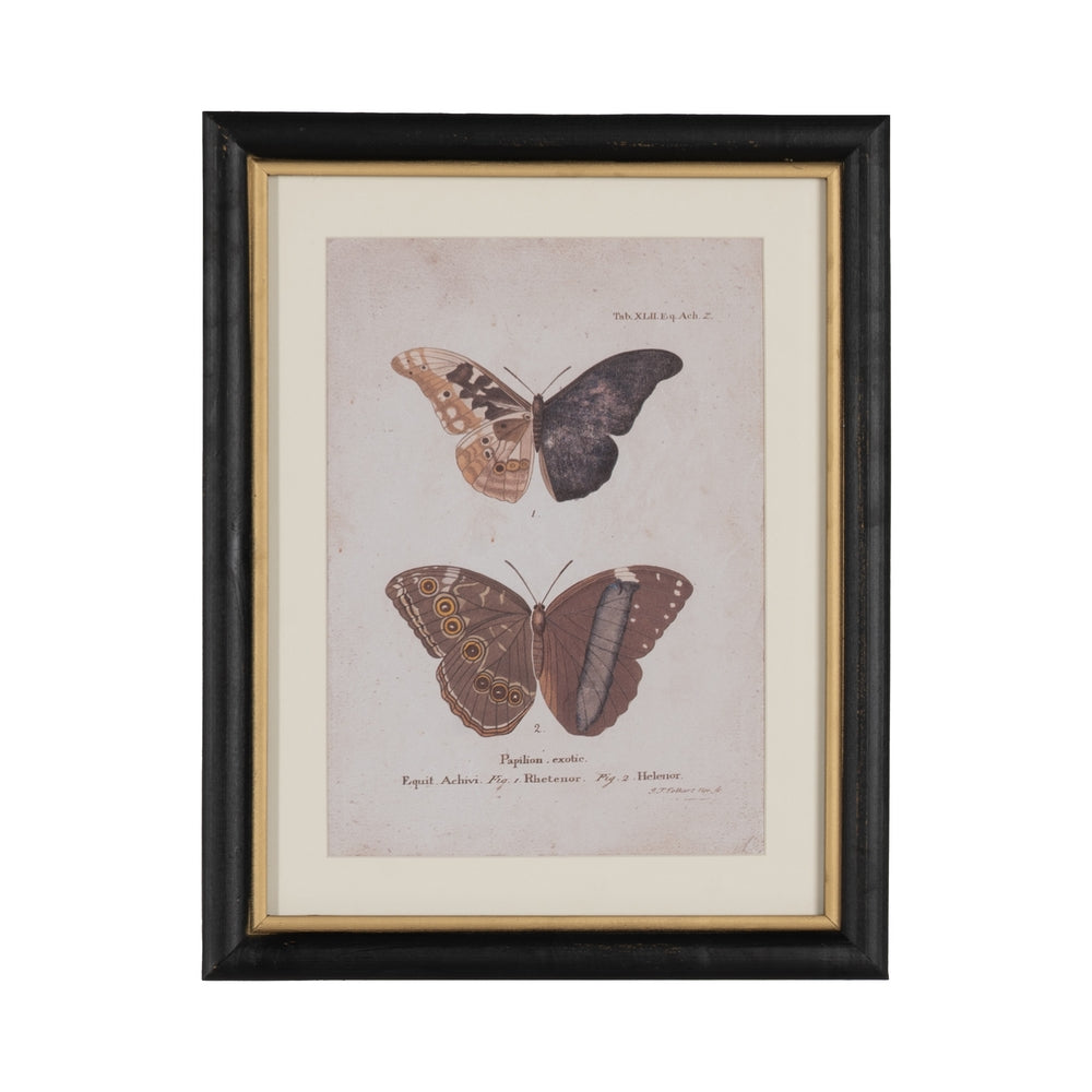 BUTTERFLY PRINT PICTURE 4/M 31 X 1.80 X 39 CM
