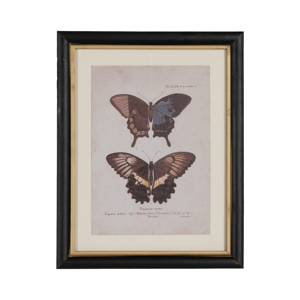 BUTTERFLY PRINT PICTURE 4/M 31 X 1.80 X 39 CM