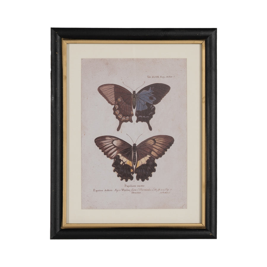 CUADRO IMPRESIÓN MARIPOSAS 4/M 31 X 1,80 X 39 CM