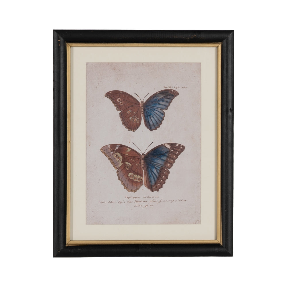 BUTTERFLY PRINT PICTURE 4/M 31 X 1.80 X 39 CM
