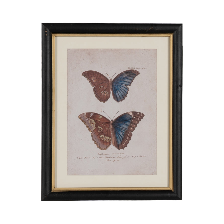 CUADRO IMPRESIÓN MARIPOSAS 4/M 31 X 1,80 X 39 CM