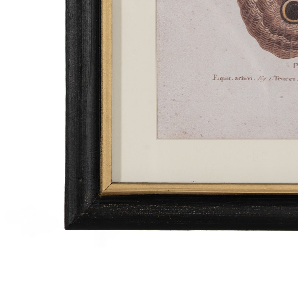 BUTTERFLY PRINT PICTURE 4/M 31 X 1.80 X 39 CM