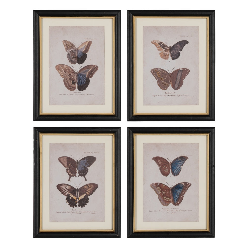 CUADRO IMPRESI�N MARIPOSAS 4/M 31 X 1,80 X 39 CM