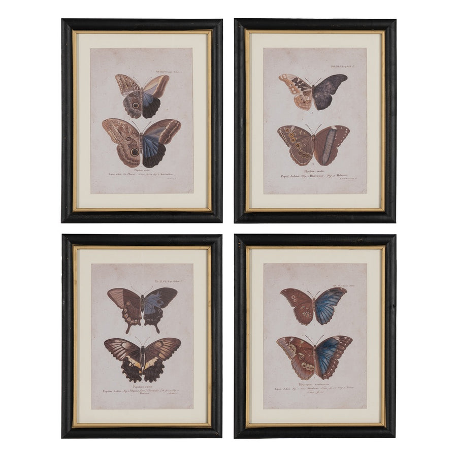 CUADRO IMPRESIÓN MARIPOSAS 4/M 31 X 1,80 X 39 CM