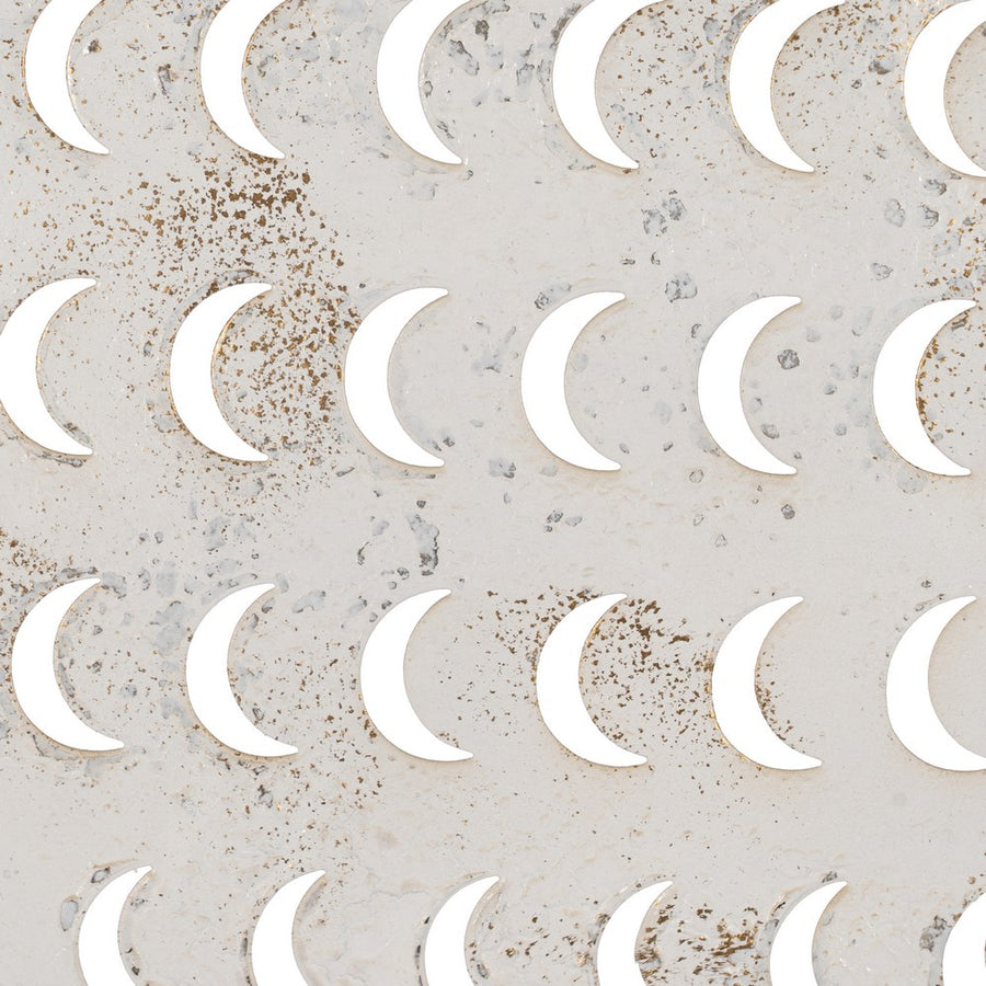 MURAL PARED PEZ BLANCO ROZADO METAL 49 X 3,50 X 37 CM