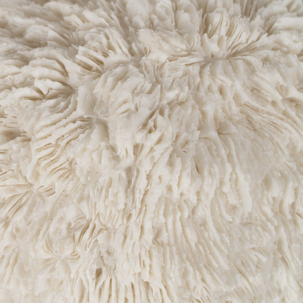 L�MPARA MESA CORAL ARENISCA 14,30 X 11,50 X 8,50 CM