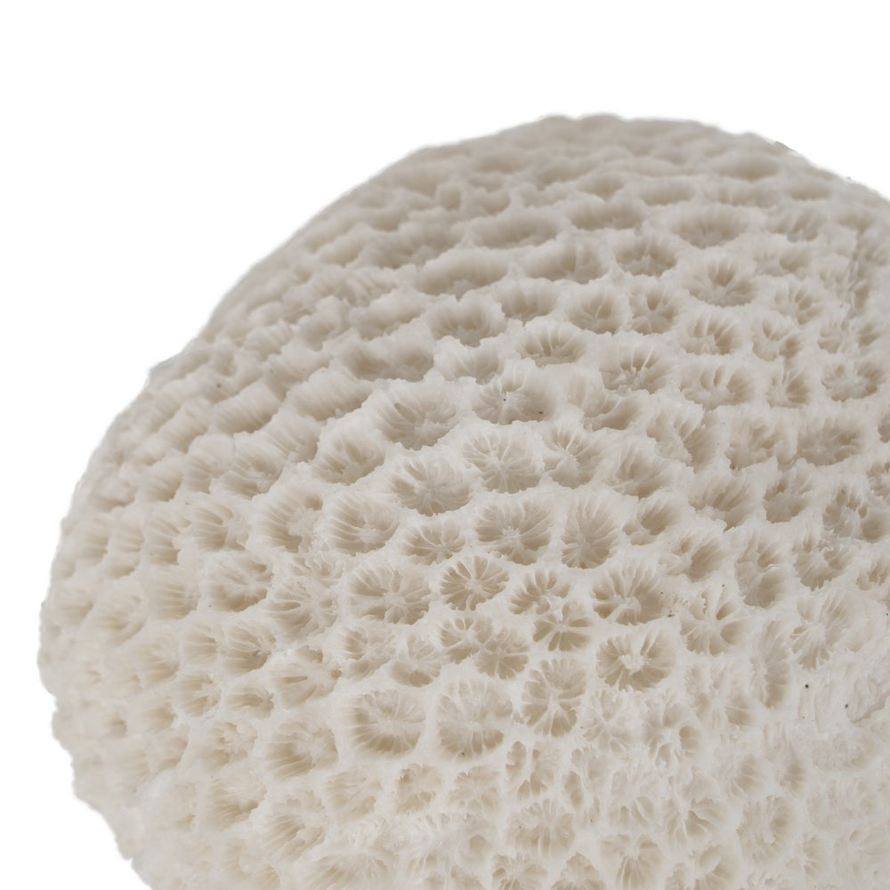 L�MPARA MESA ESPONJA ARENISCA 13,70 X 13 X 9 CM