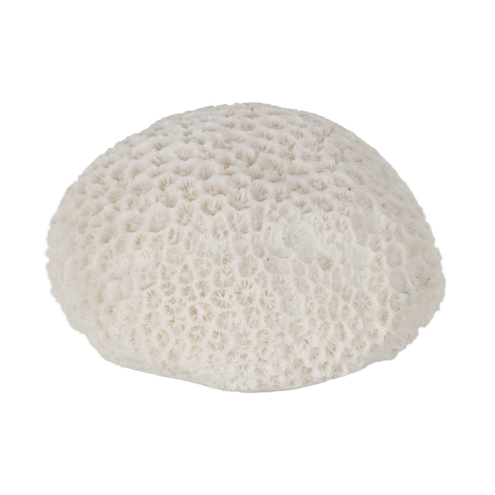 L�MPARA MESA ESPONJA ARENISCA 13,70 X 13 X 9 CM