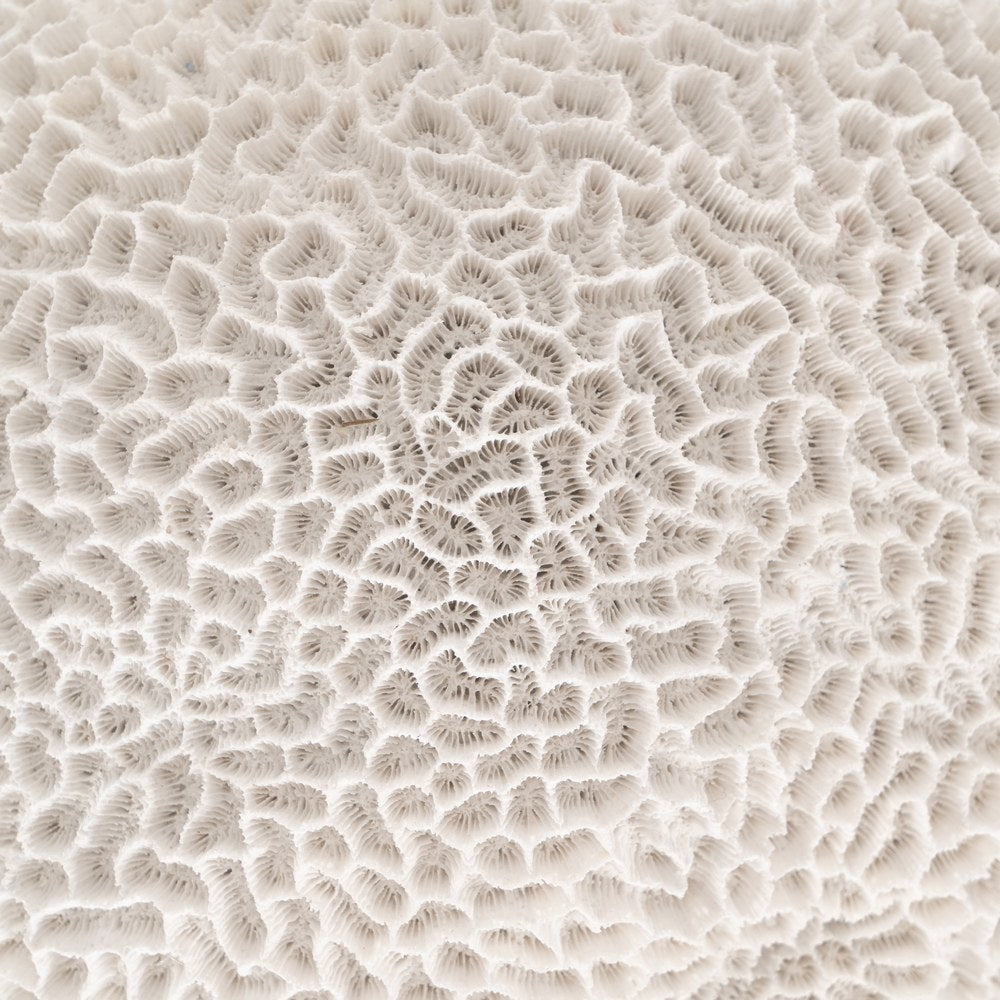 SPONGE FIGURE WHITE RESIN DECORATION 21 X 21 X 11 CM