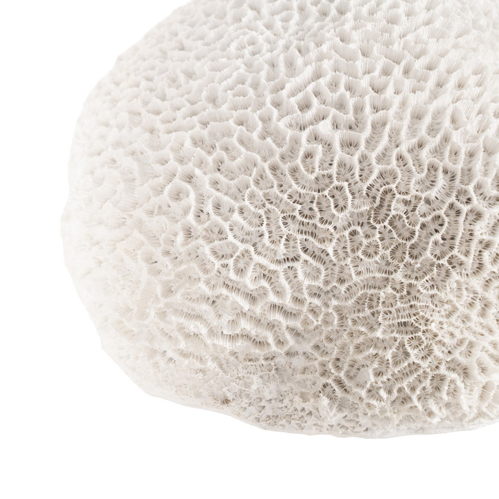SPONGE FIGURE WHITE RESIN DECORATION 21 X 21 X 11 CM