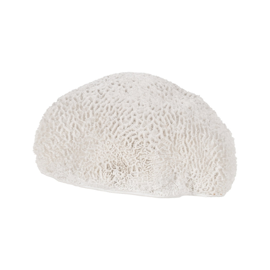FIGURA ESPONJA BLANCO RESINA DECORACIÓN 21 X 21 X 11 CM
