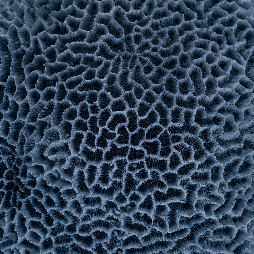 BLUE SPONGE RESIN DECORATION FIGURE 23 X 21 X 11 CM