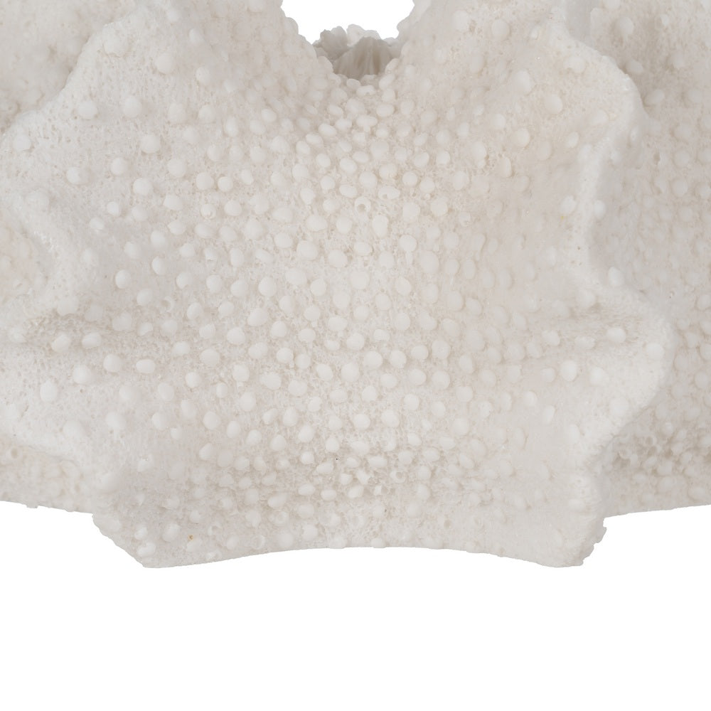 LÁMPARA MESA CORAL ARENISCA 31,80 X 28 X 16,50 CM