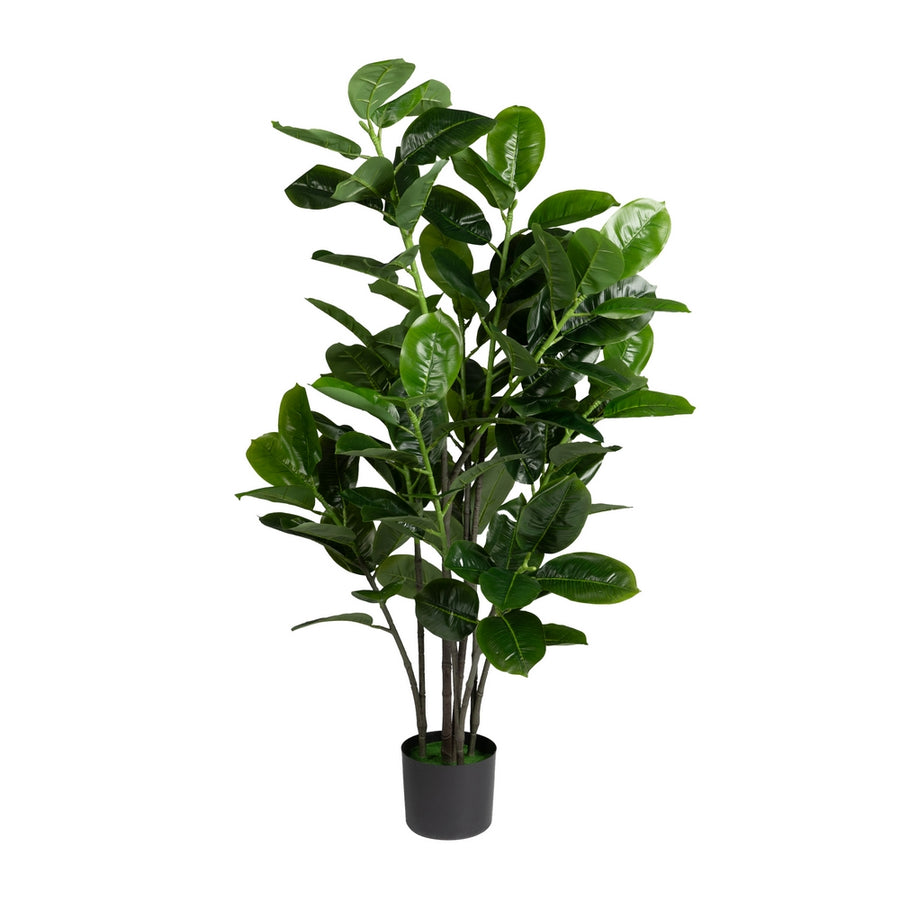 ARTIFICIAL GREEN RUBBER PLANT GARDEN 60 X 60 X 140 CM