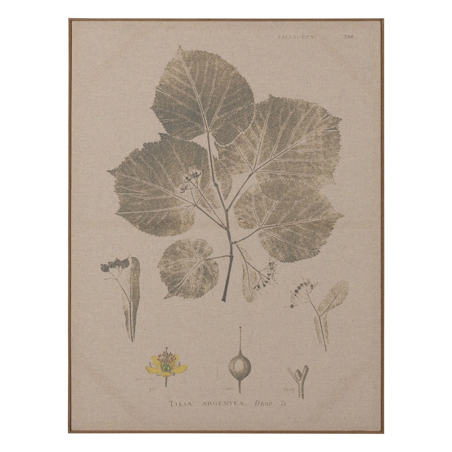 LEAVES PRINT PICTURE 2/M DM-WOOD 60 X 3 X 80 CM