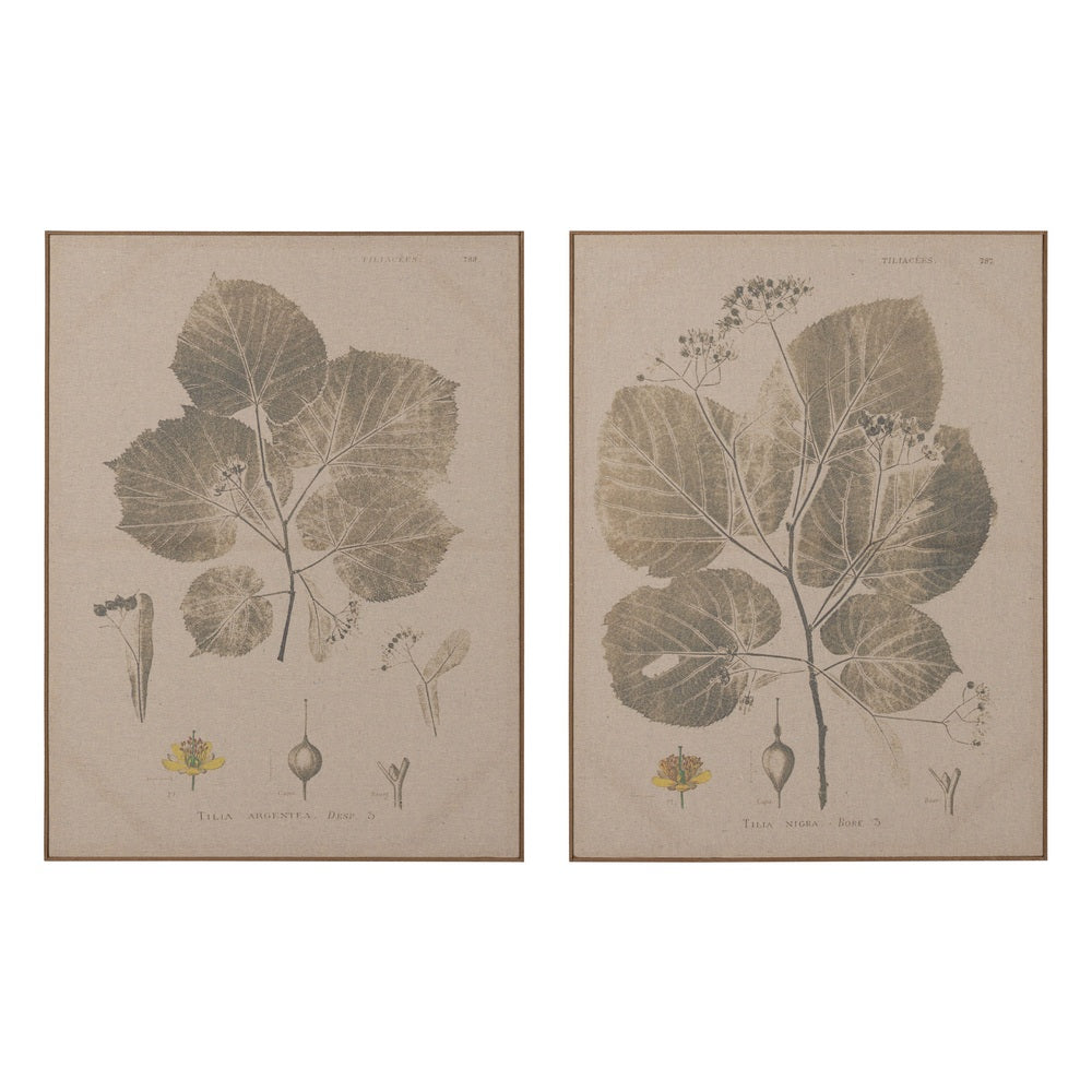 LEAVES PRINT PICTURE 2/M DM-WOOD 60 X 3 X 80 CM