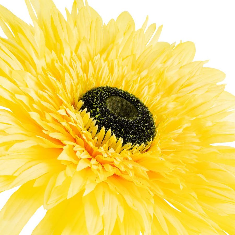 YELLOW ARTIFICIAL GERBERA FLOWER 60 X 60 X 150 CM