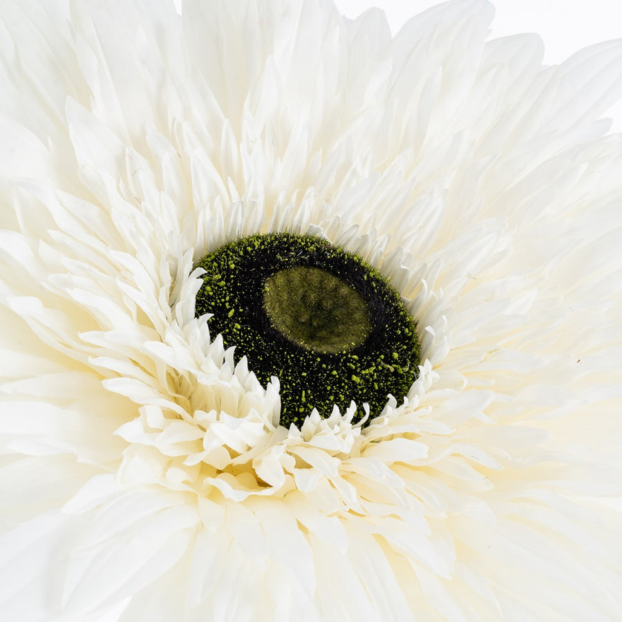 FLOR GERBERA BLANCO ARTIFICIAL 60 X 60 X 150 CM
