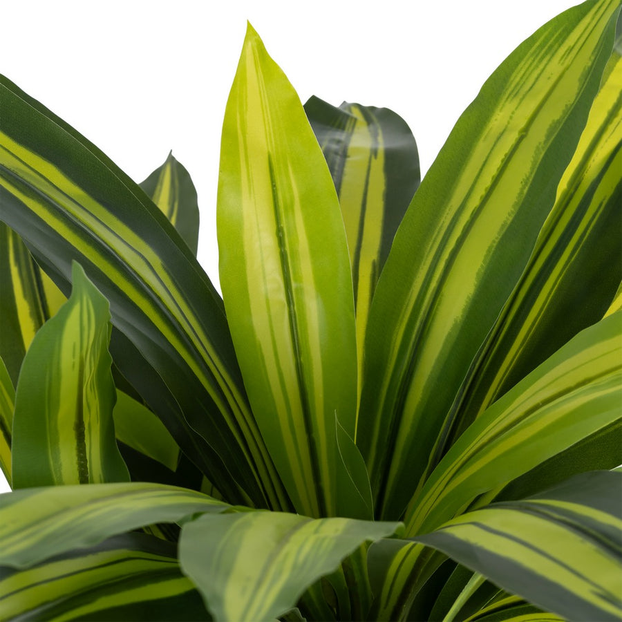 PLANTA DRACAENA VERDE POLIESTER 70 X 110 CM