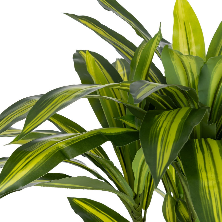 PLANTA DRACAENA VERDE POLIESTER 70 X 110 CM
