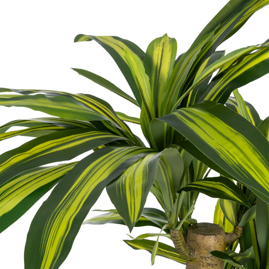 100 X 140 CM GREEN POLYESTER DRACAENA PLANT