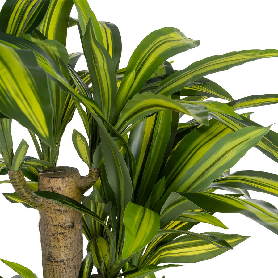 100 X 140 CM GREEN POLYESTER DRACAENA PLANT