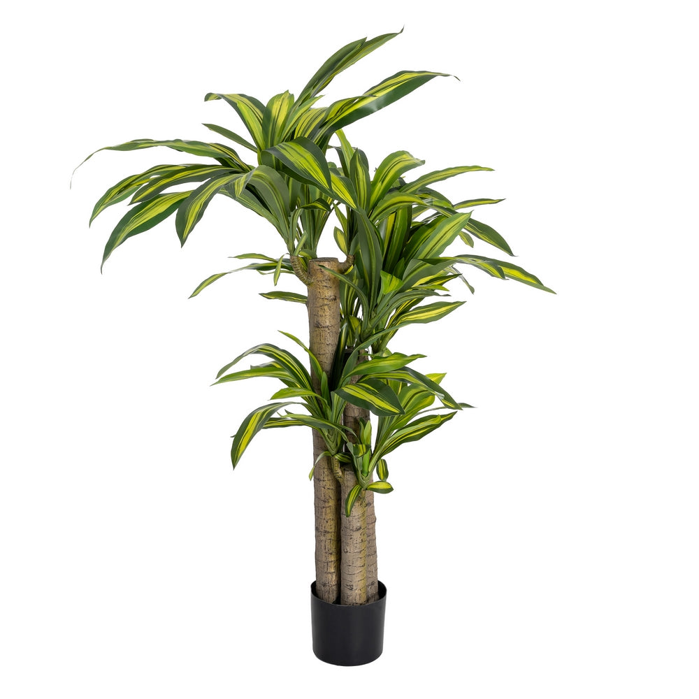 100 X 140 CM GREEN POLYESTER DRACAENA PLANT