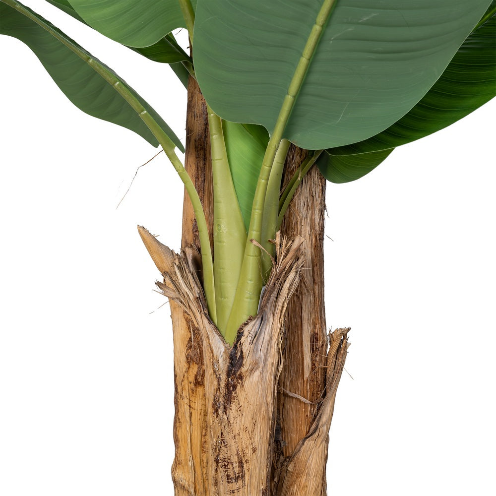 PLANTA PLATANERO VERDE POLIESTER 200 X 320 CM