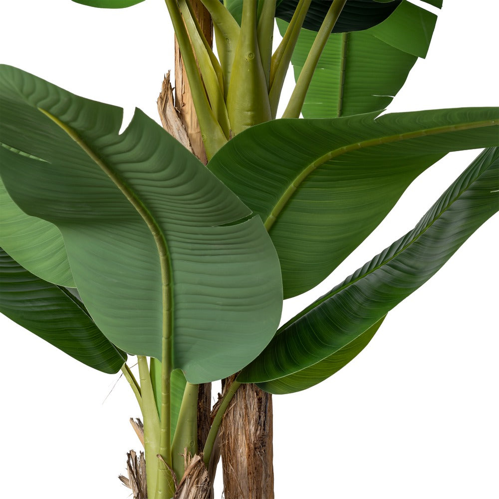 PLANTA PLATANERO VERDE POLIESTER 200 X 320 CM