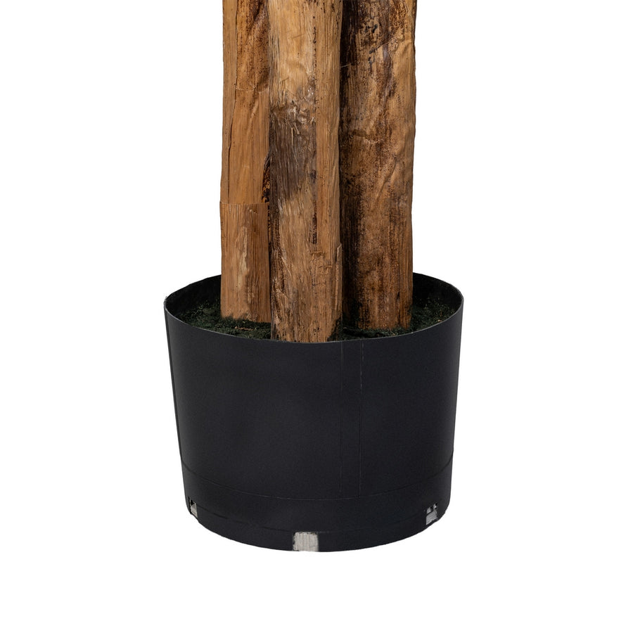PLANTA PLATANERO VERDE POLIESTER 200 X 320 CM